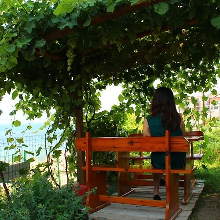 호텔 Barex Family 3*