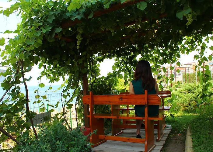 Отель Barex Family 3*